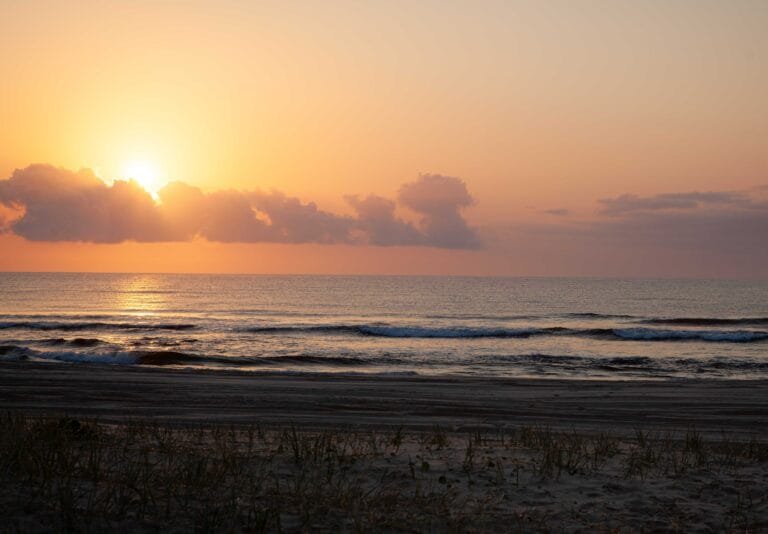 Art And Illustration