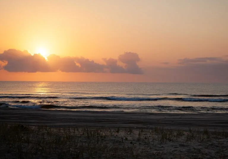 Art And Illustration